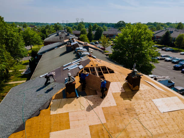 Trusted Storm Damage Roof Repair service in Dupont, PA - Brentwood Metal Roofing